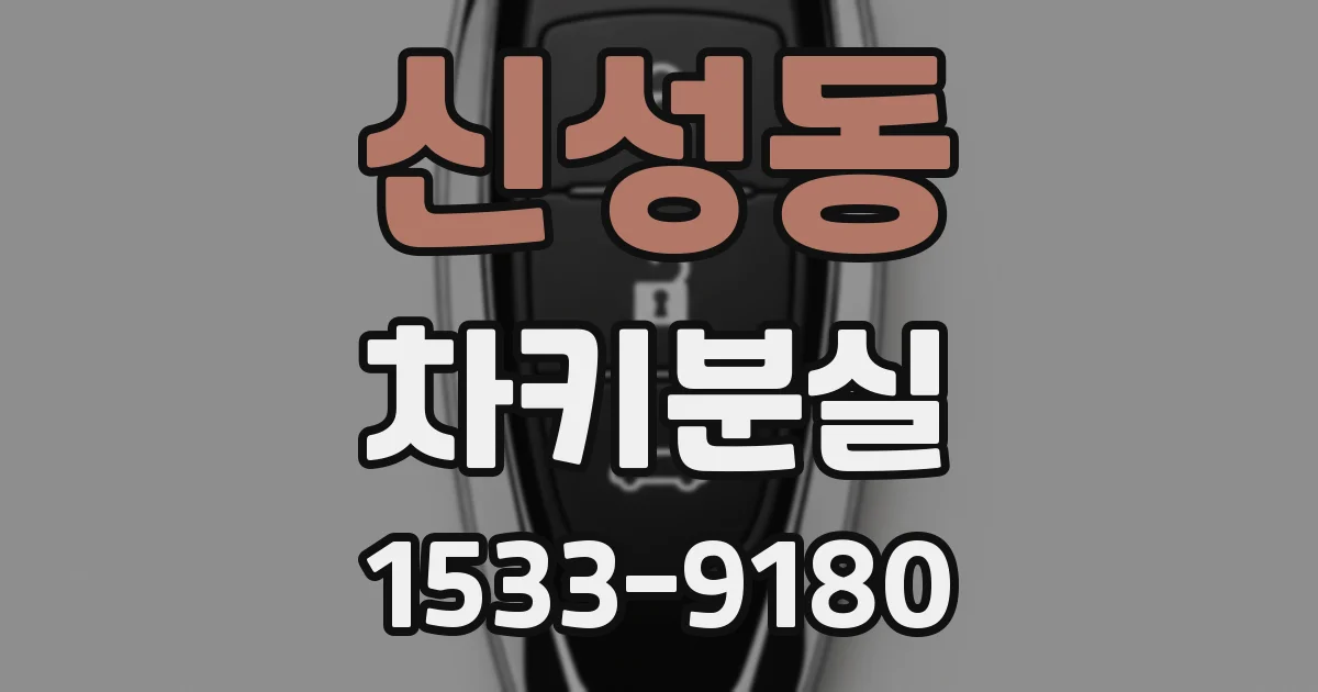신성동 차키분실