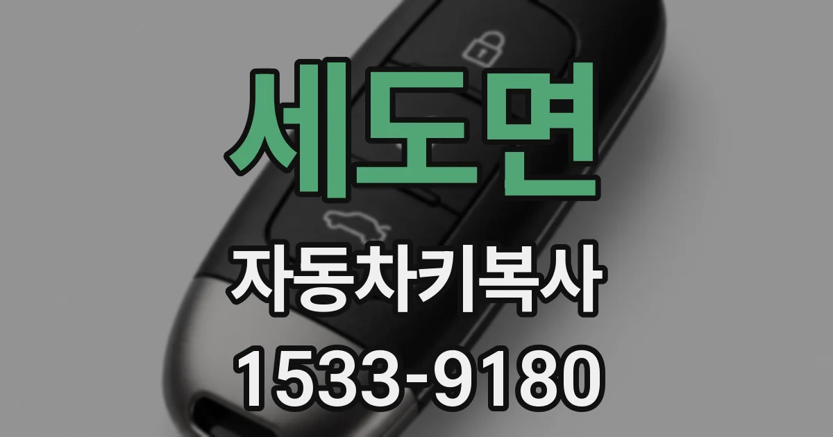 세도면 자동차키복사