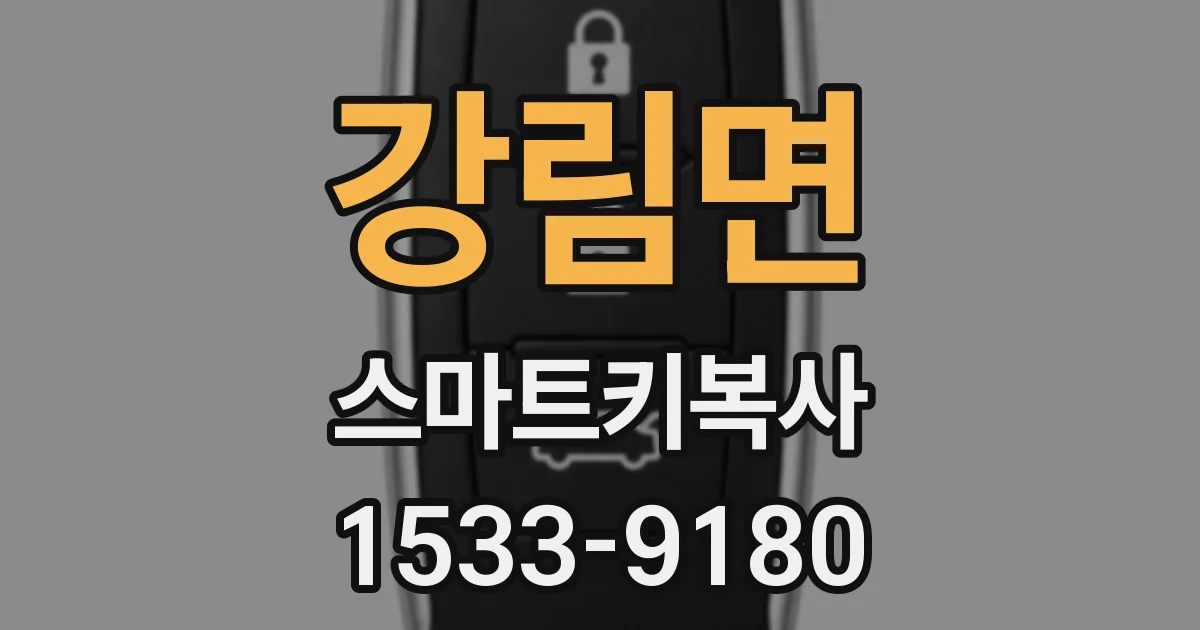 강림면 스마트키복사