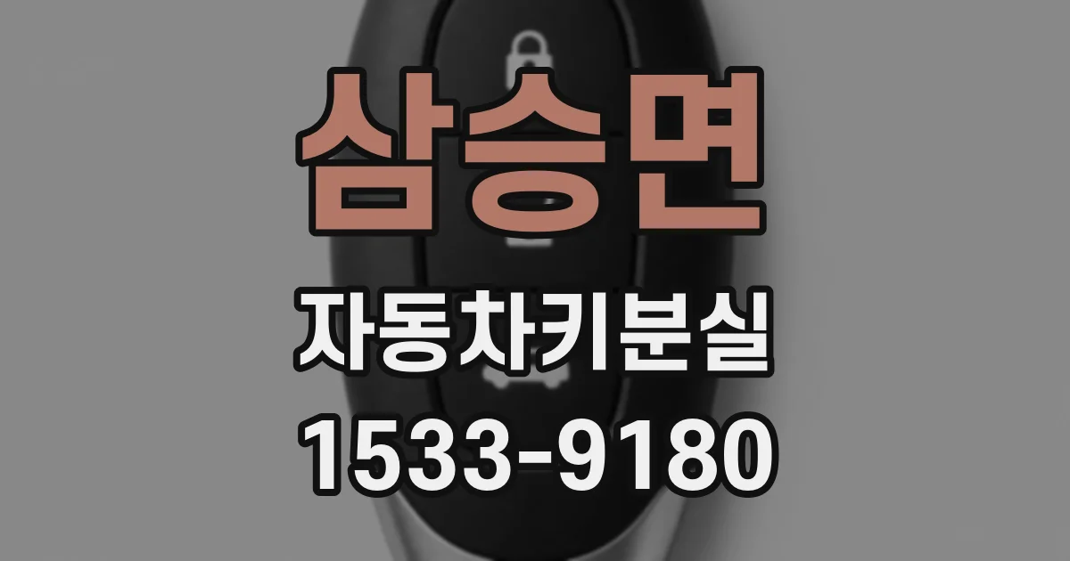 삼승면 자동차키분실