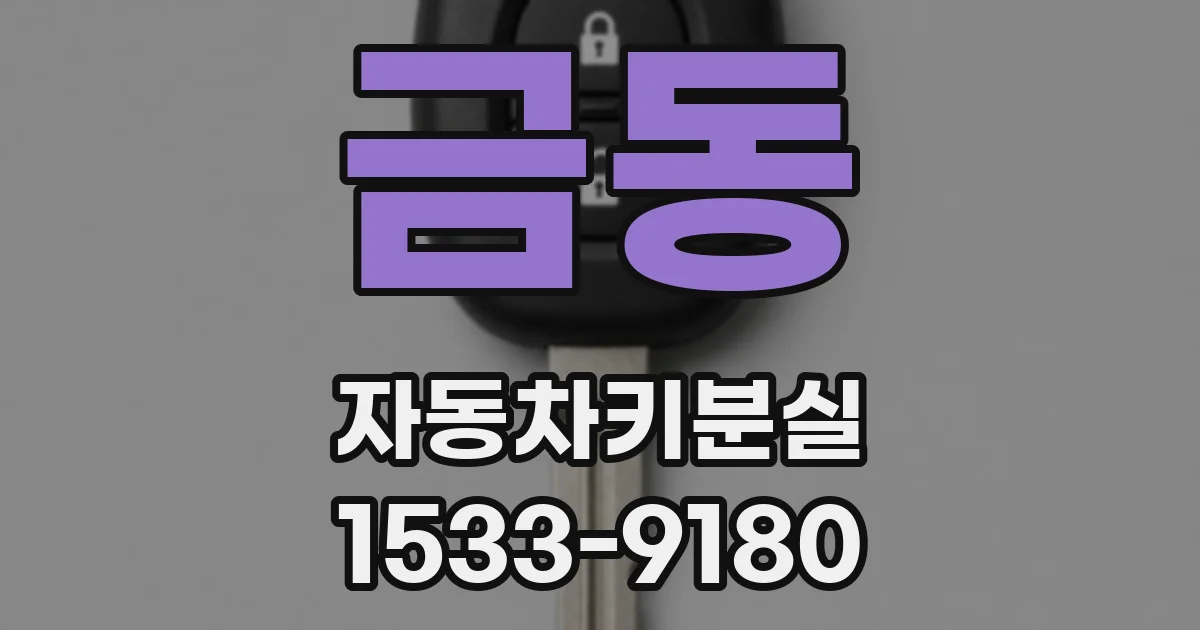금동 자동차키분실