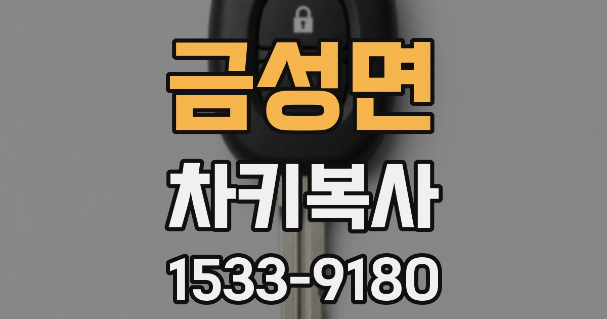금성면 차키복사