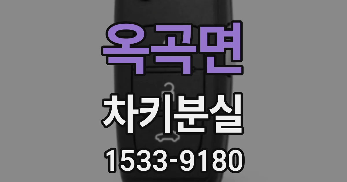 옥곡면 차키분실