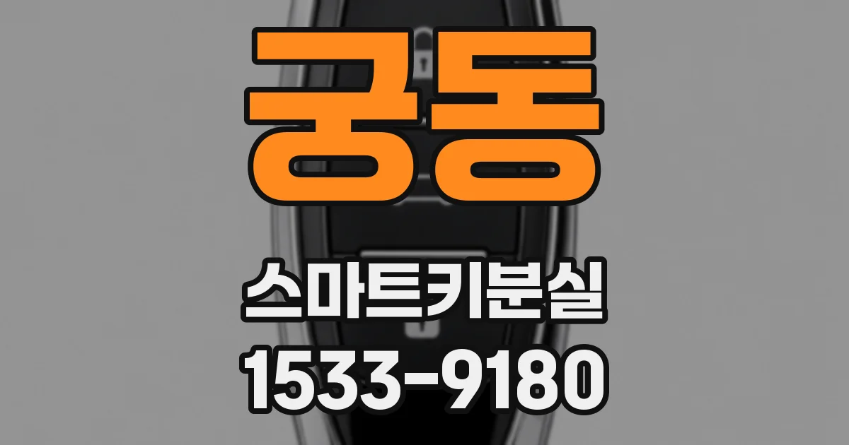 궁동 스마트키분실