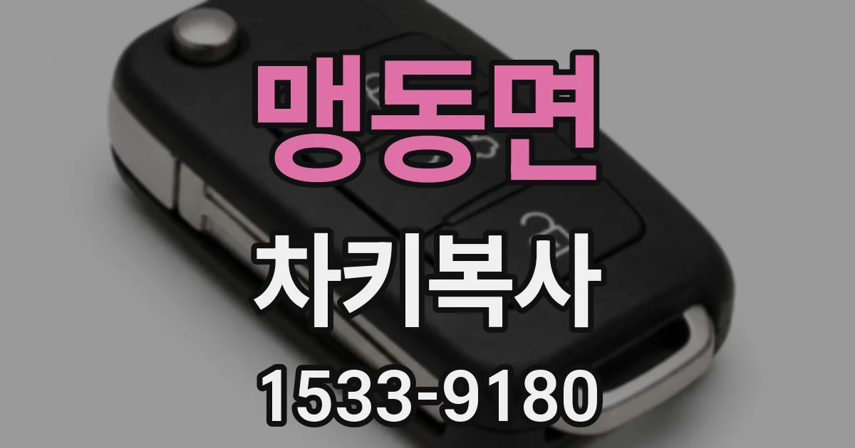 맹동면 차키복사