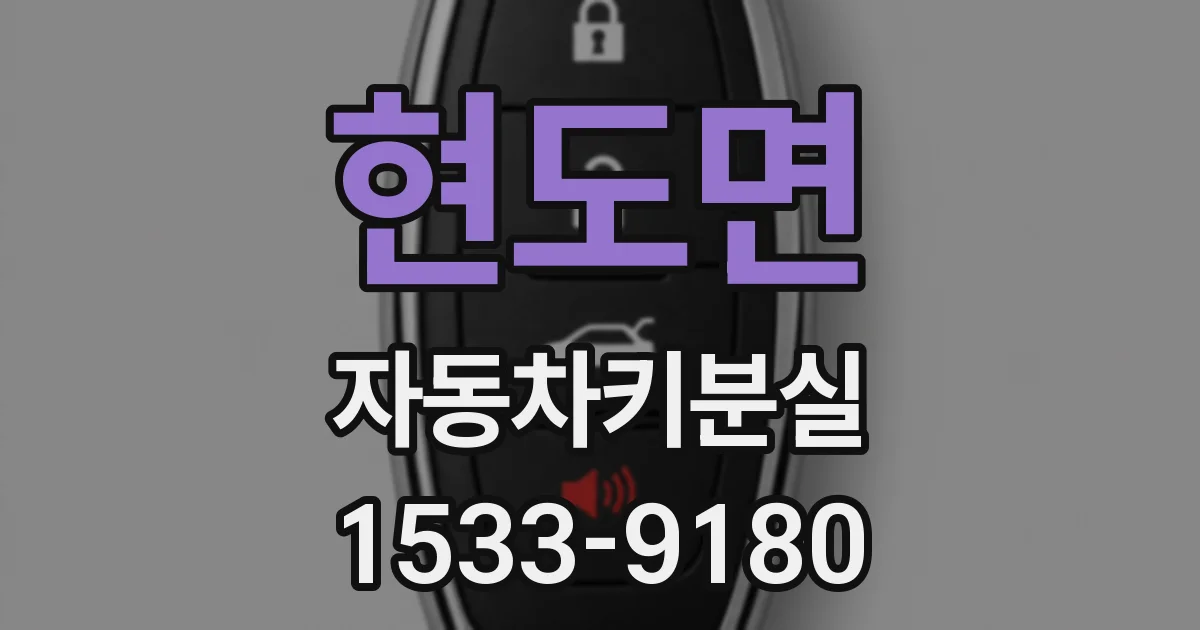 현도면 자동차키분실
