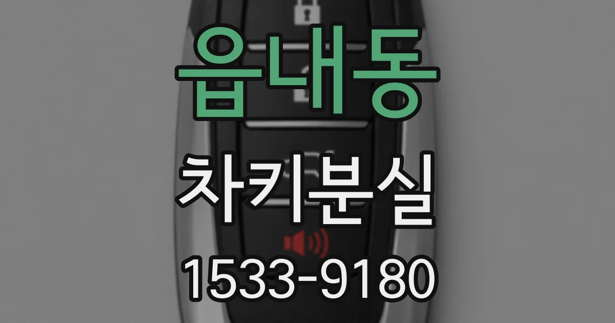 읍내동 차키분실