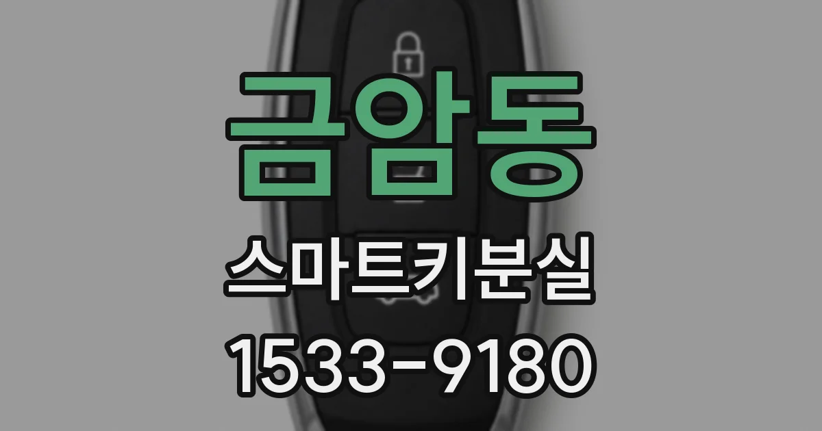 금암동 스마트키분실