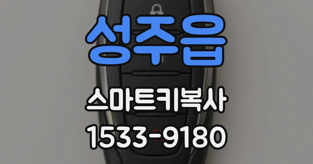 성주읍 스마트키복사