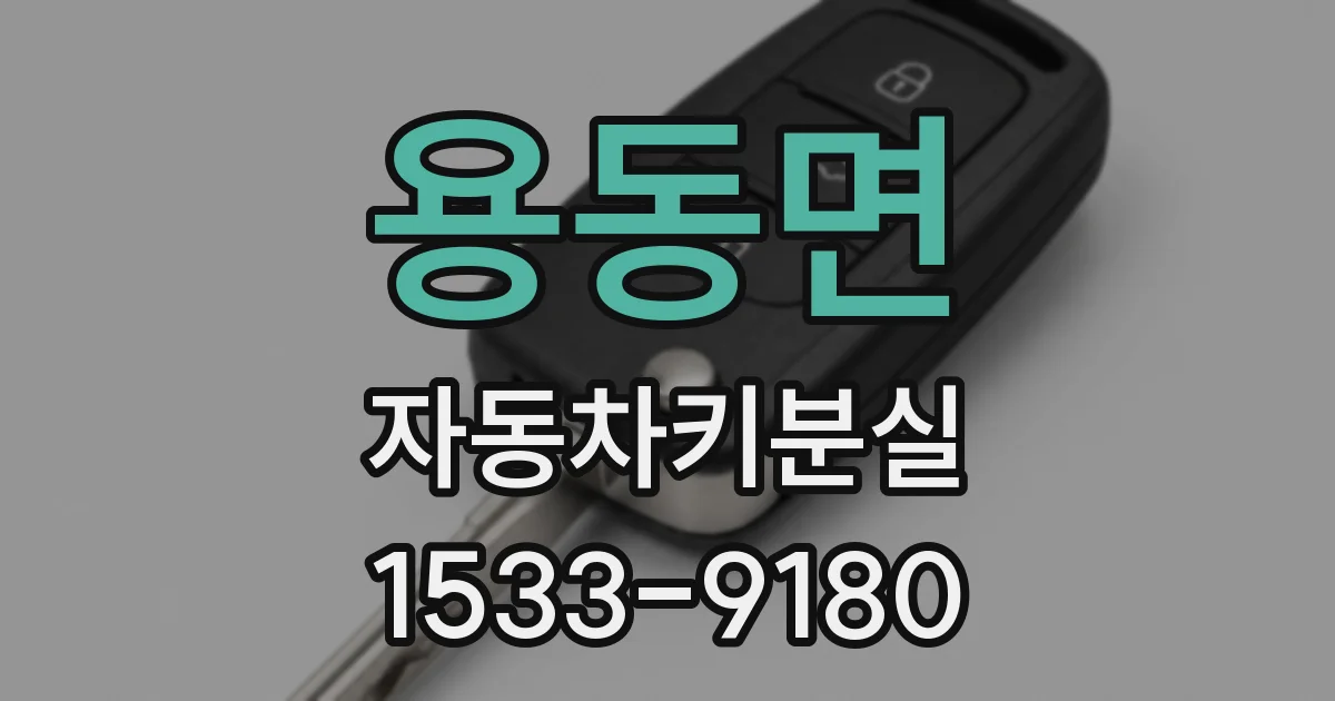 용동면 자동차키분실