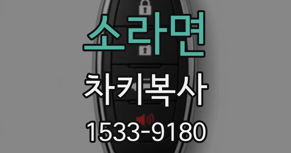 소라면 차키복사