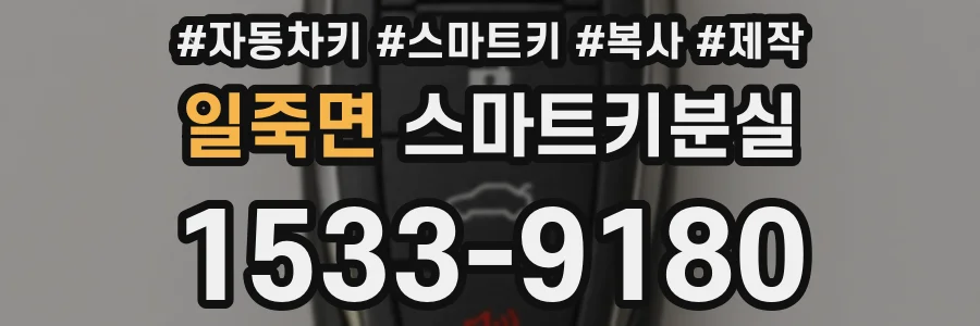 일죽면 스마트키분실