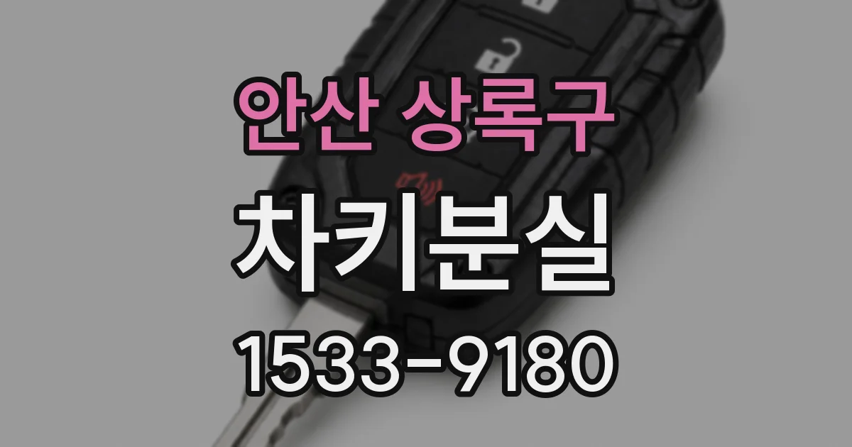 안산 상록구 차키분실
