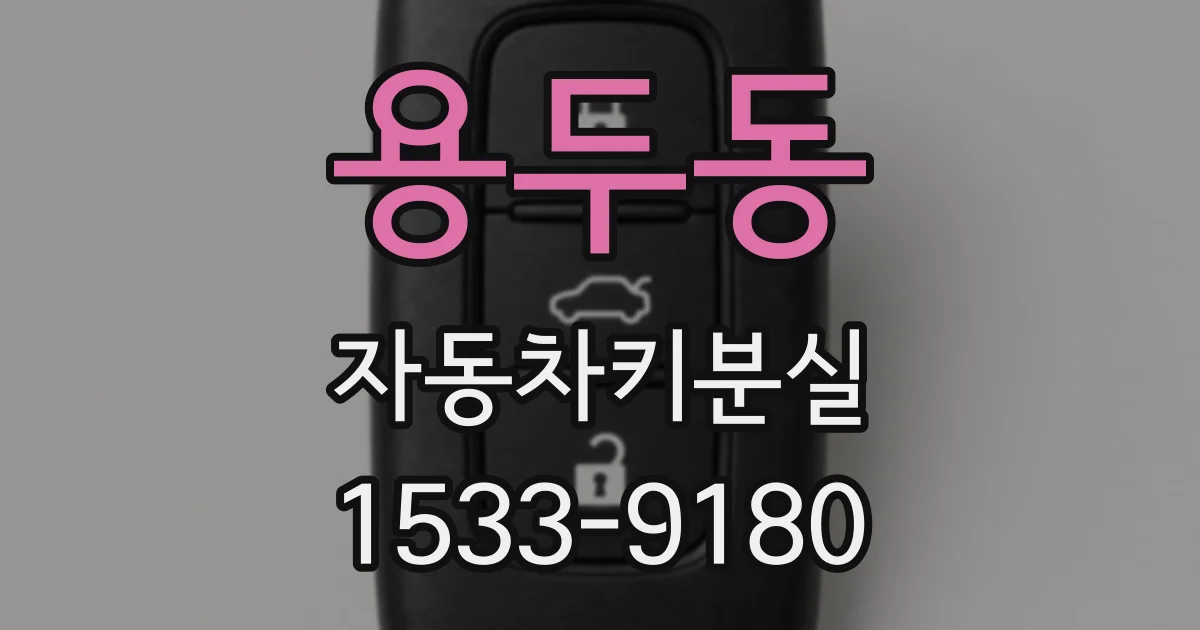 용두동 자동차키분실