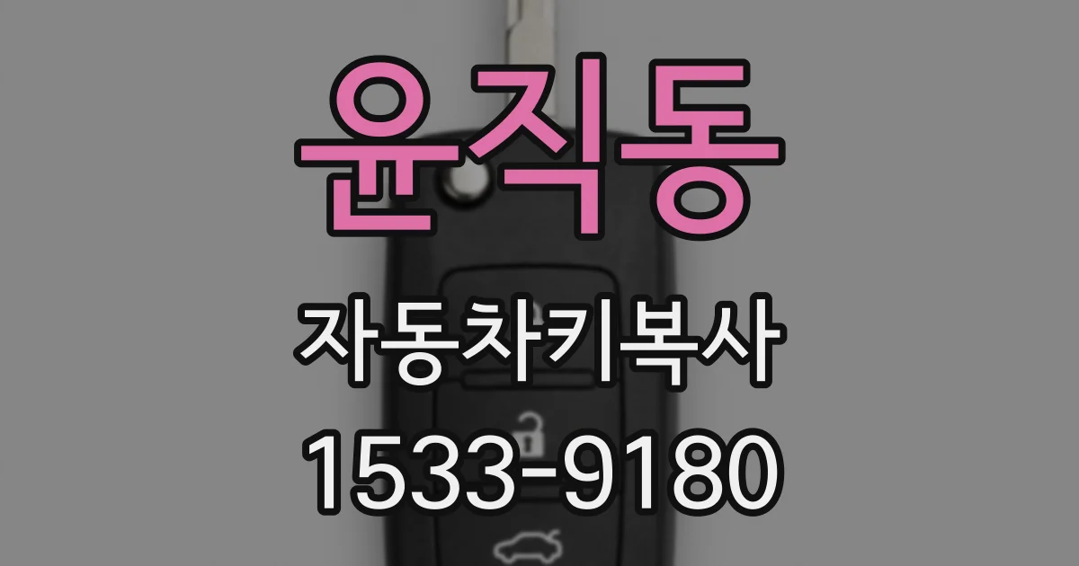 윤직동 자동차키복사