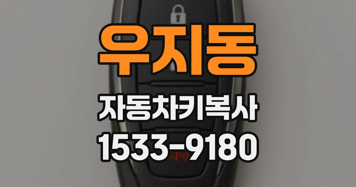 우지동 자동차키복사