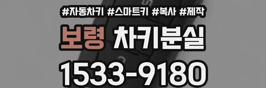 보령 차키분실
