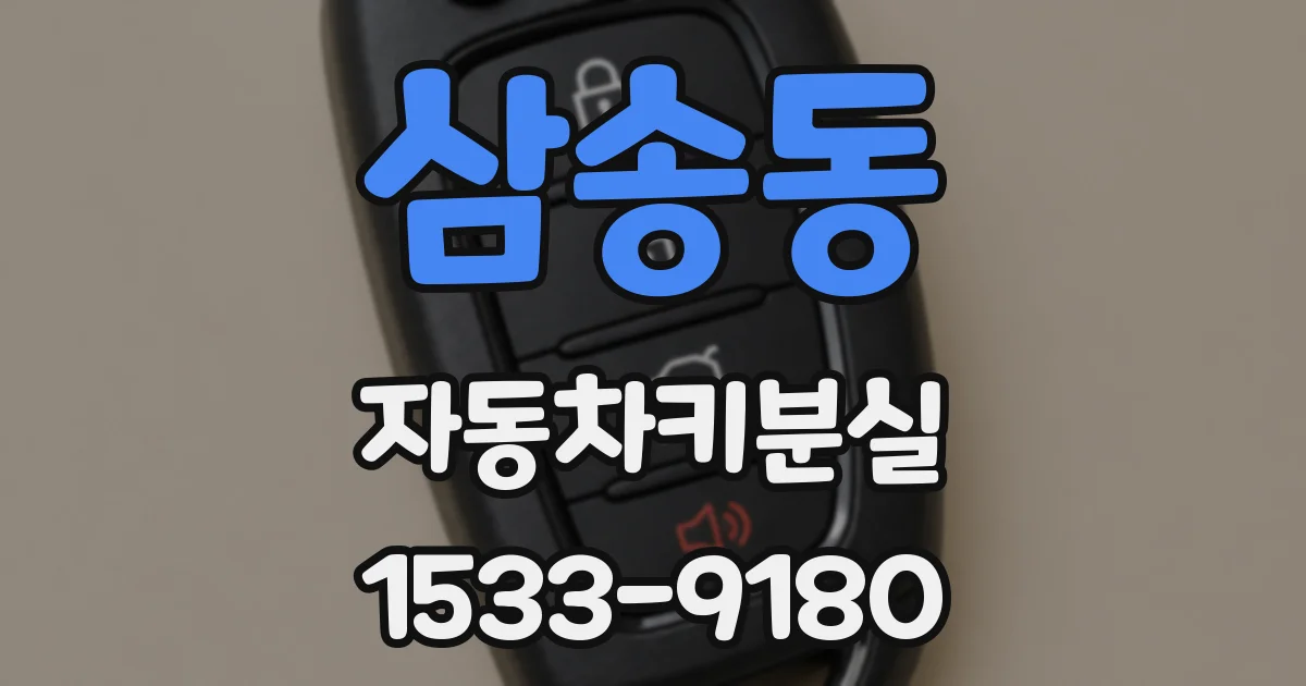 삼송동 자동차키분실