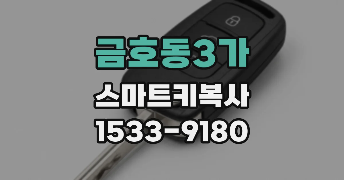 금호동3가 스마트키복사