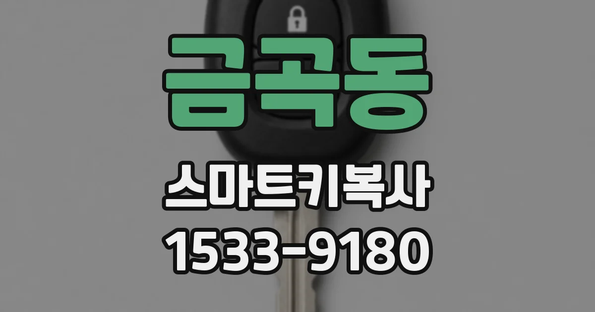 금곡동 스마트키복사