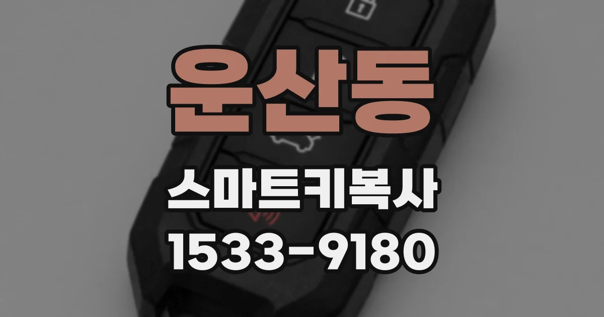 운산동 스마트키복사