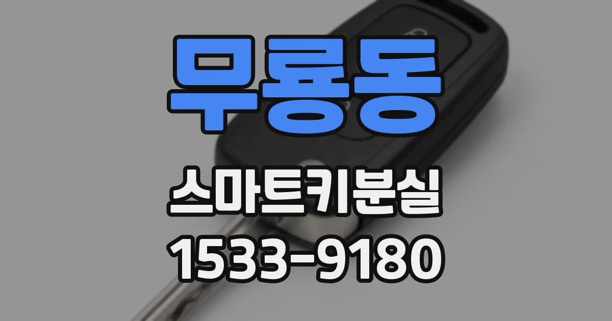 무룡동 스마트키분실