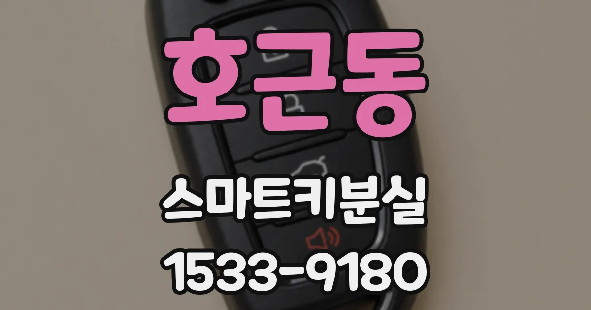호근동 스마트키분실
