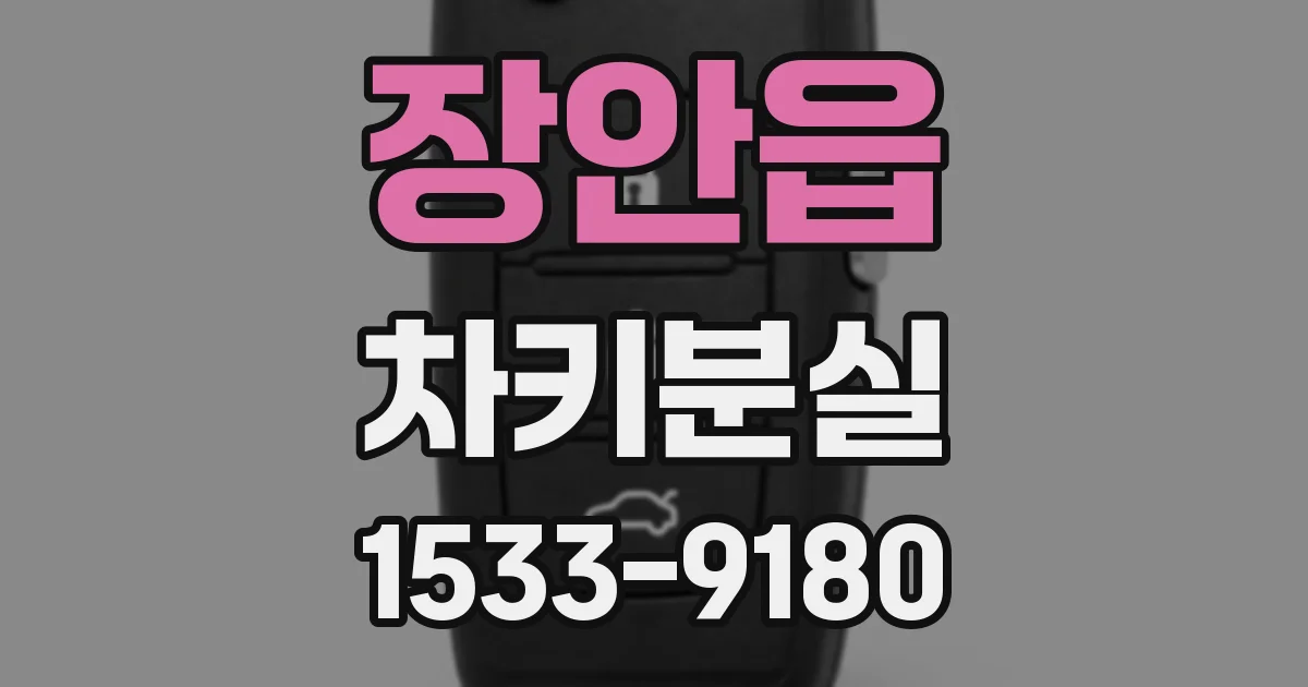 장안읍 차키분실