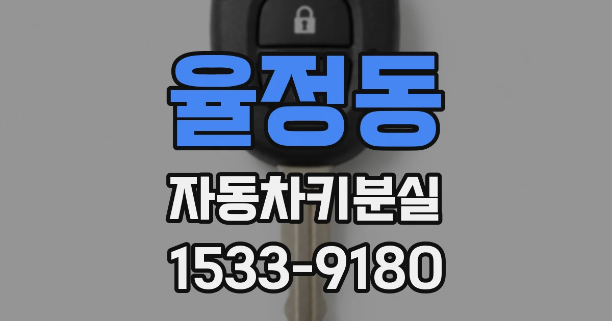 율정동 자동차키분실