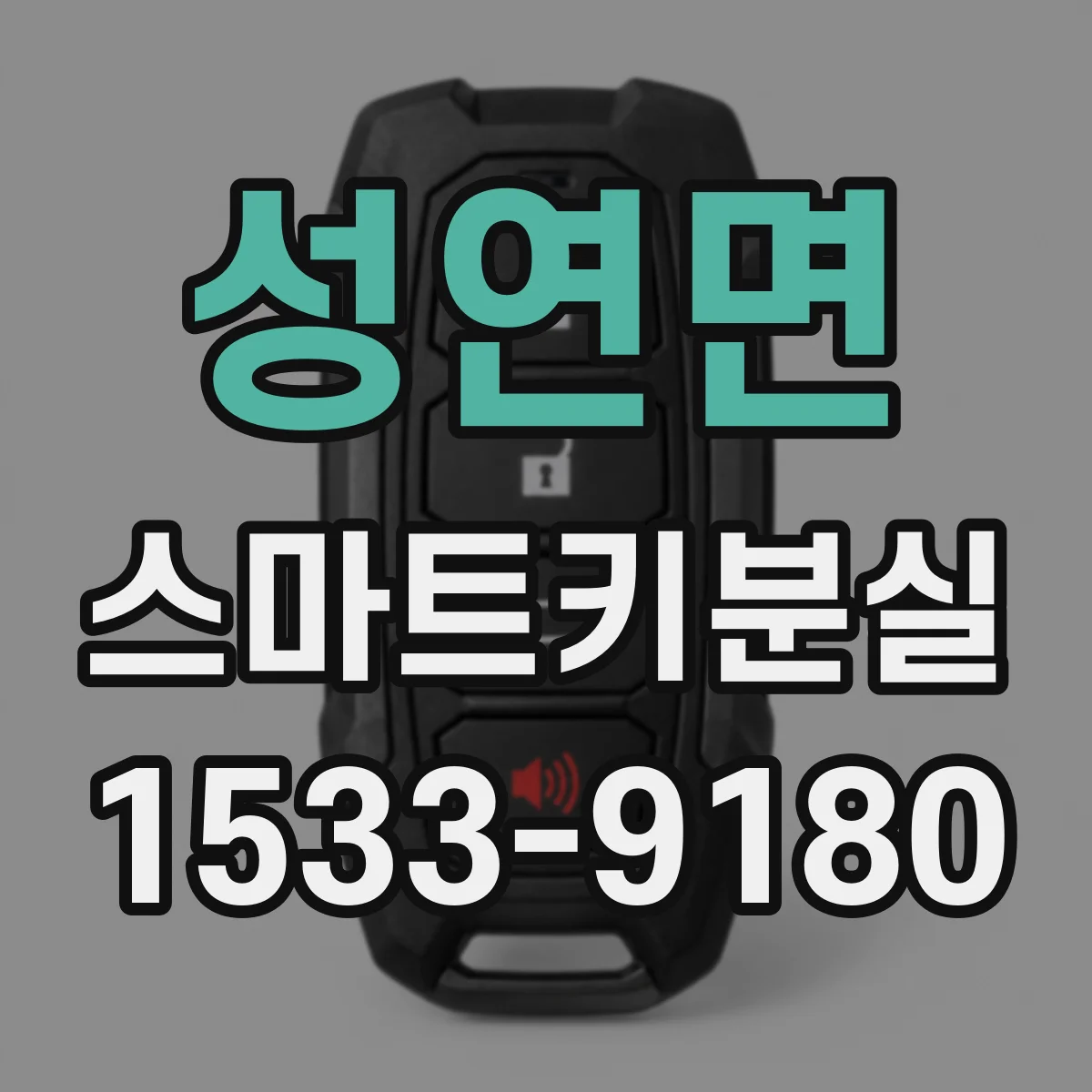 성연면 스마트키분실