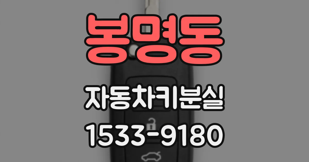 봉명동 자동차키분실