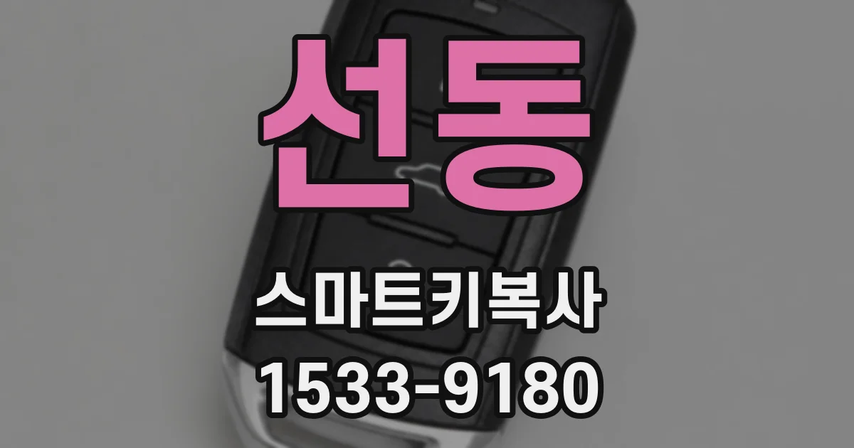 선동 스마트키복사