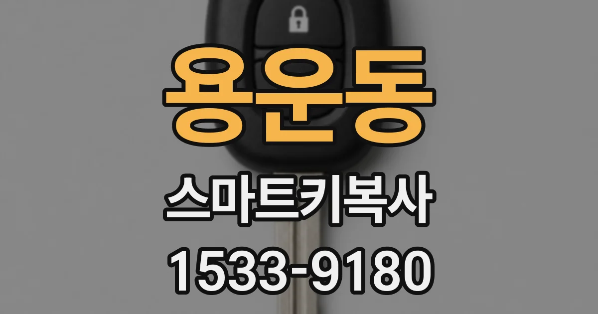용운동 스마트키복사
