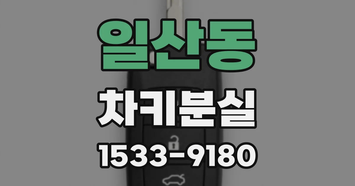 일산동 차키분실