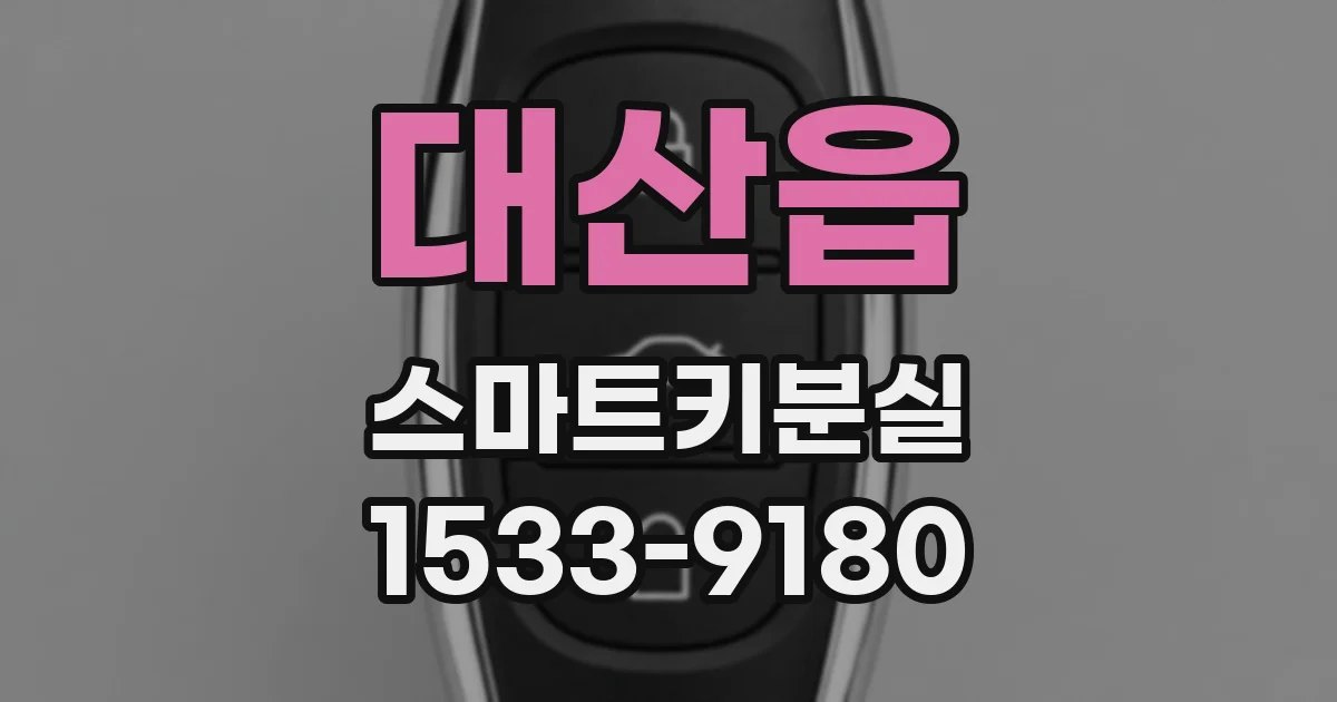 대산읍 스마트키분실