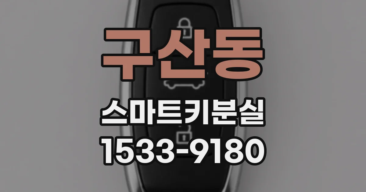 구산동 스마트키분실