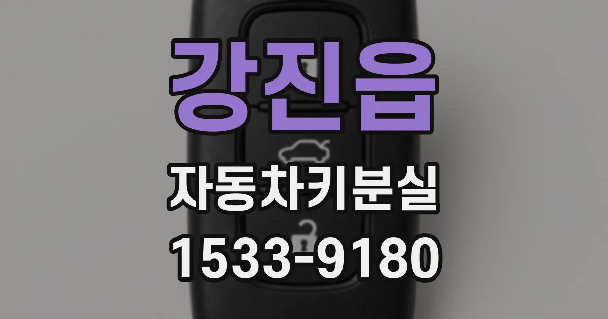 강진읍 자동차키분실