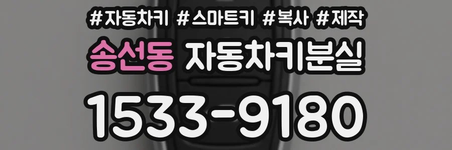 송선동 자동차키분실