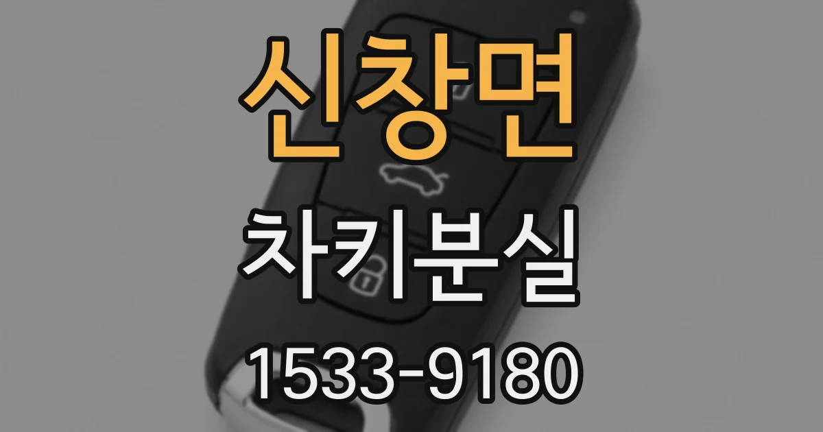 신창면 차키분실
