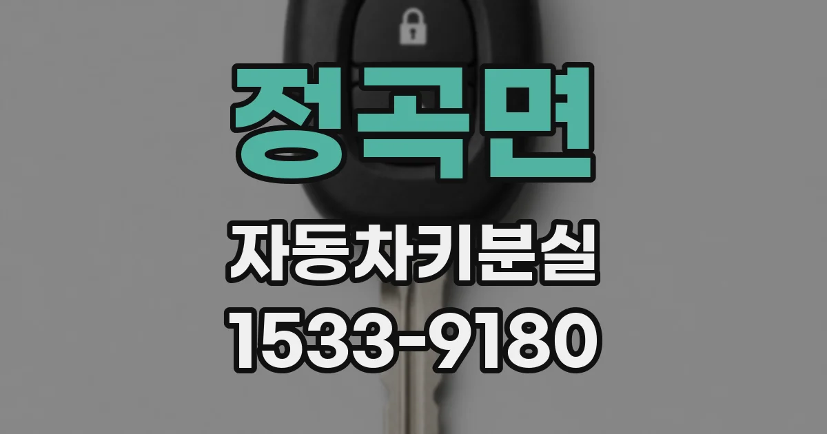 정곡면 자동차키분실