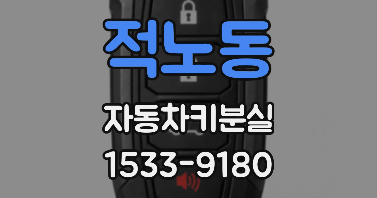 적노동 자동차키분실