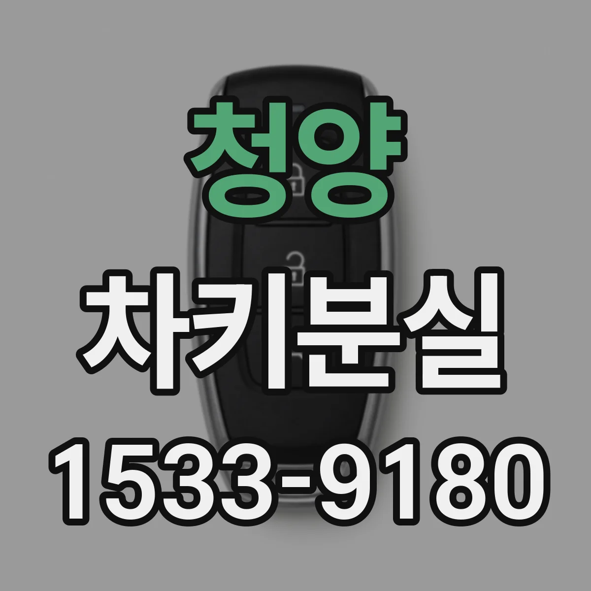 청양 차키분실