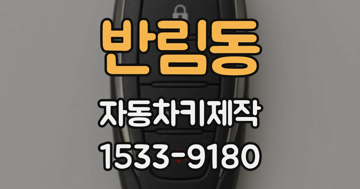 반림동 자동차키제작