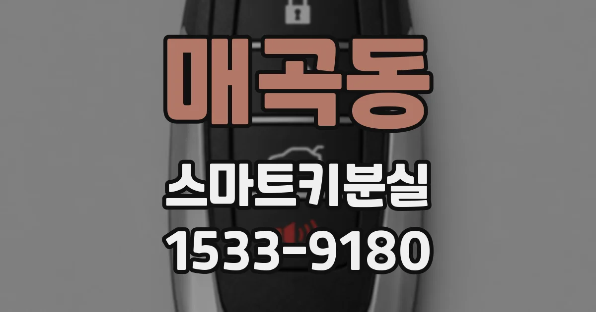 매곡동 스마트키분실