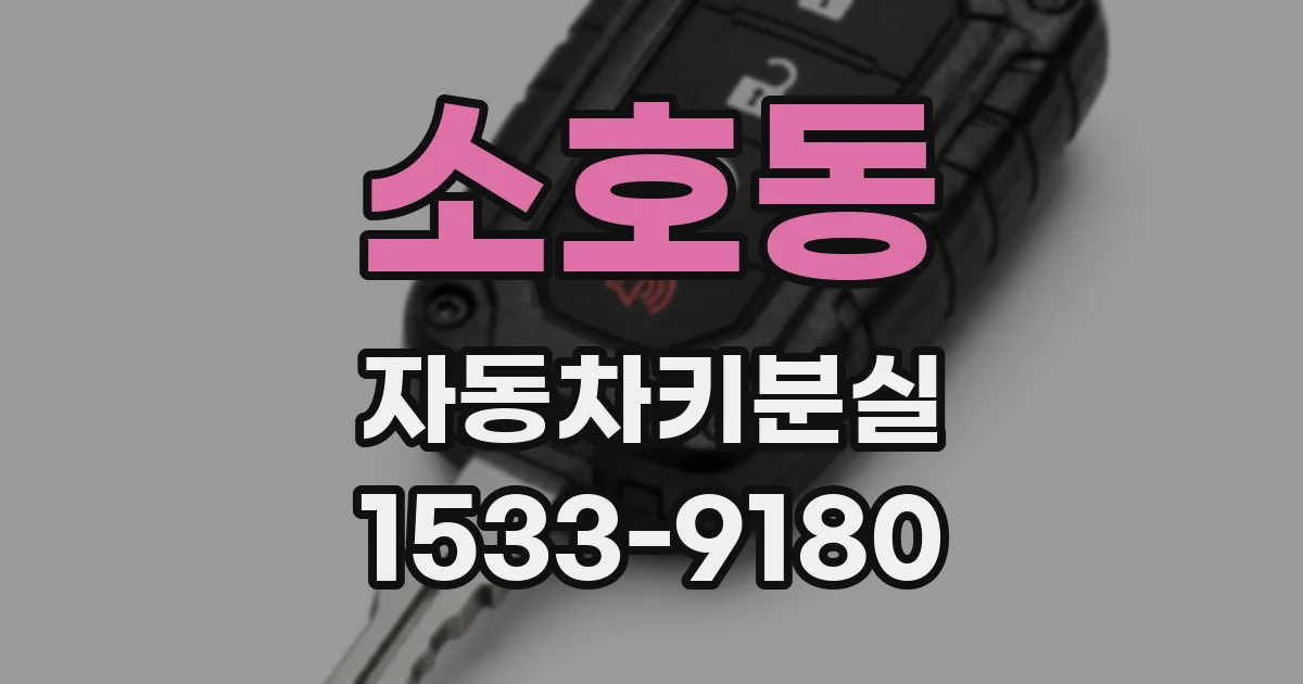 소호동 자동차키분실