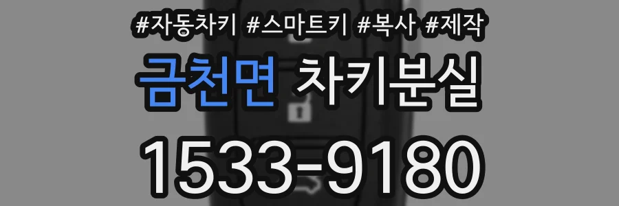 금천면 차키분실