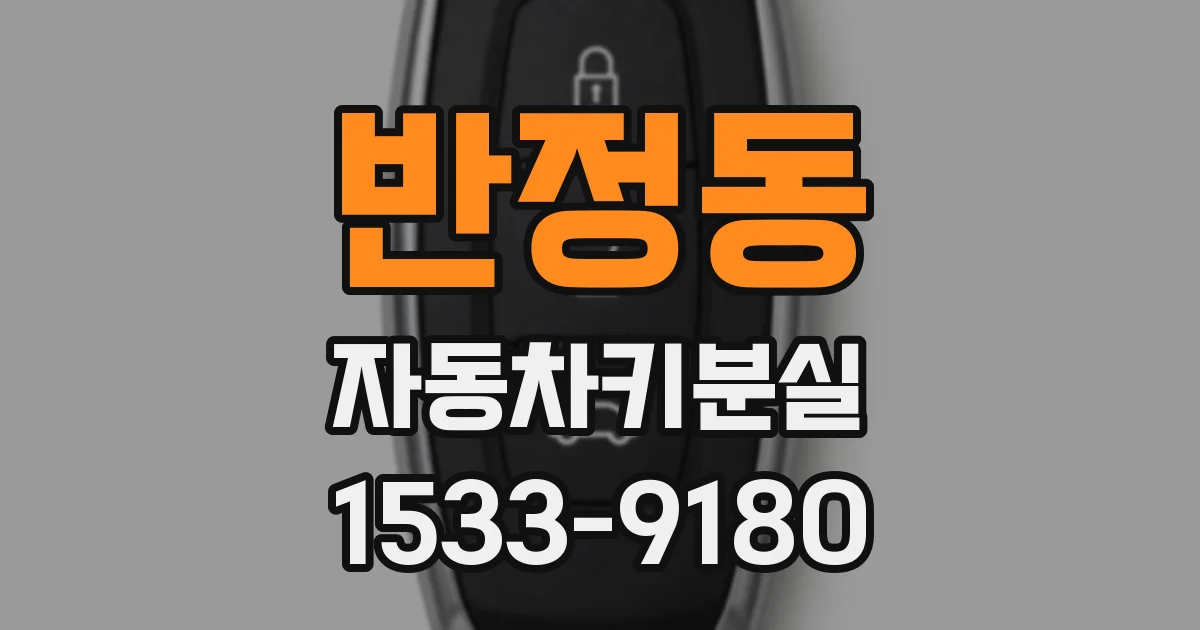 반정동 자동차키분실