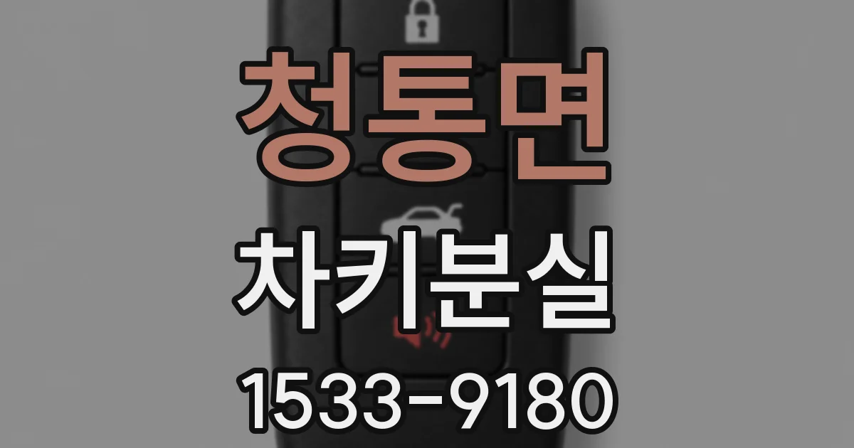 청통면 차키분실