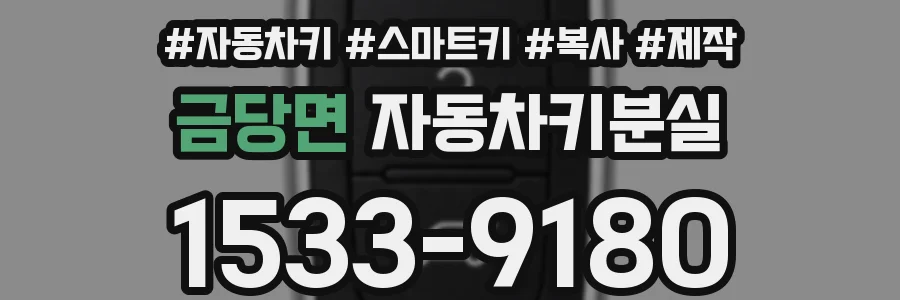 금당면 자동차키분실