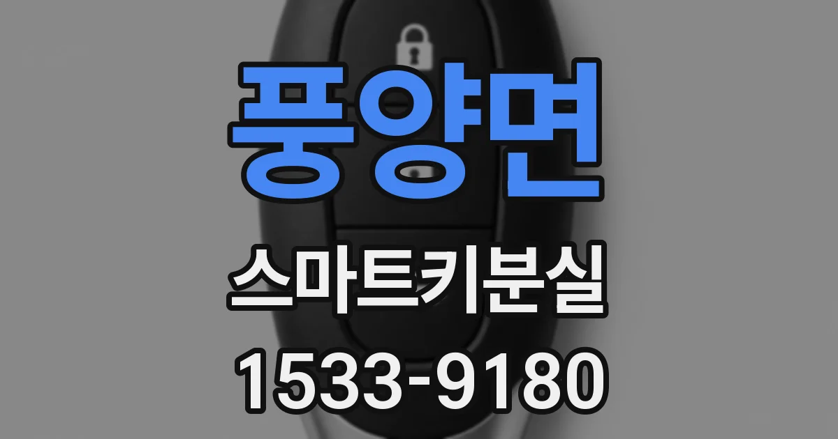 풍양면 스마트키분실
